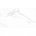 QP8320BMB-F CARRARA MAT (1 сорт)