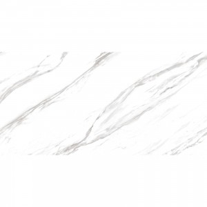 ECHO FULL LAPP (1 сорт)