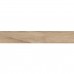 DUCALE CEDAR (1 сорт)