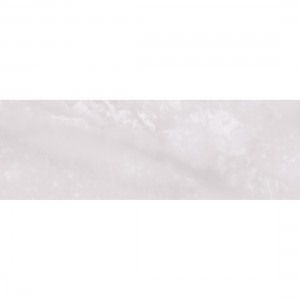 VIOLETA SILVER (1 сорт)
