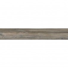BASE LIZANA OLIVO C-1 (1 сорт)