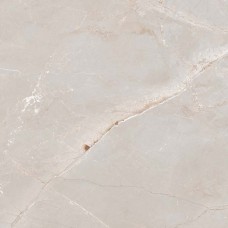 TULIP WHITE ### (1 сорт) TULIP WHITE ### (1 сорт)