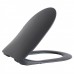 FE322-11AM00E-0000 FREE Унітаз підвісний з кришкою Soft Closing , безобідковий, Anthracite Matt (1 сорт)