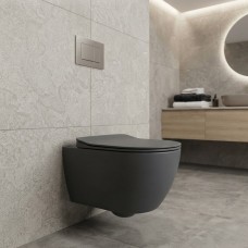 FE322-11AM00E-0000 FREE Унітаз підвісний з кришкою Soft Closing , безобідковий, Anthracite Matt (1 сорт)