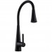Змішувач для кухні Globus Lux LAZER Pro GLPR-203SM-BB