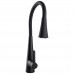 Змішувач для кухні Globus Lux LAZER Pro GLPR-203SM-BB